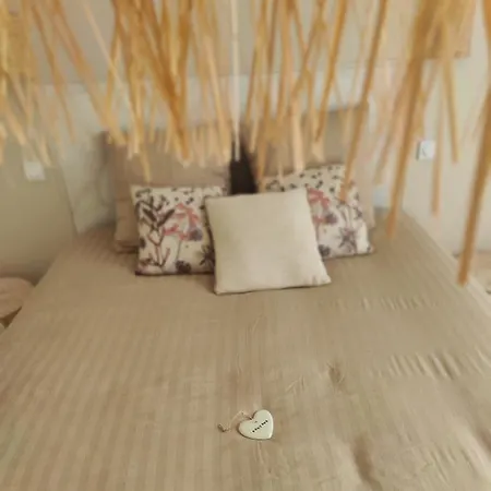 D Hotes Veneris 3* Vendres