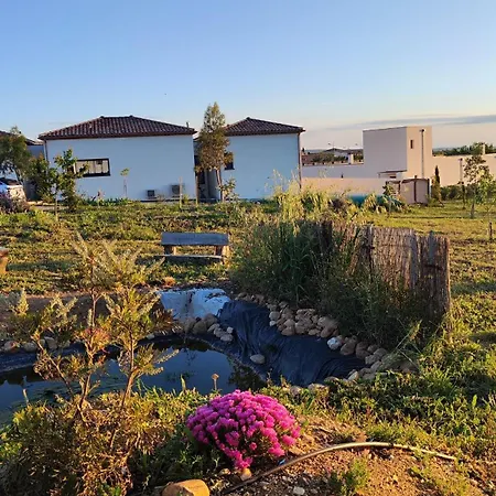 Bed & Breakfast D Hotes Veneris *